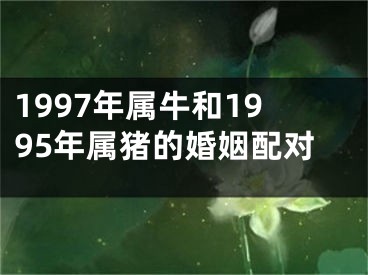1997年属牛和1995年属猪的婚姻配对