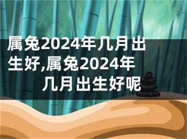 属兔2024年几月出生好,属兔2024年几月出生好呢