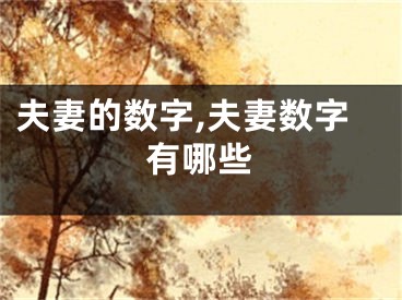 夫妻的数字,夫妻数字有哪些