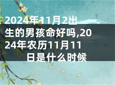 2024年11月2出生的男孩命好吗,2024年农历11月11日是什么时候