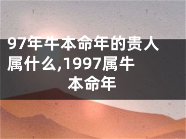 97年牛本命年的贵人属什么,1997属牛本命年