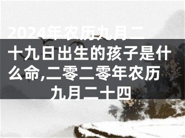 2024年农历九月二十九日出生的孩子是什么命,二零二零年农历九月二十四