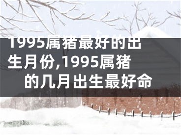 1995属猪最好的出生月份,1995属猪的几月出生最好命