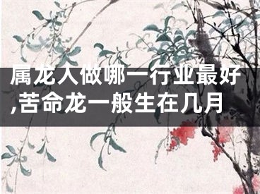 属龙人做哪一行业最好,苦命龙一般生在几月