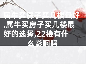 属牛买房子买几楼最好,属牛买房子买几楼最好的选择,22楼有什么影响吗