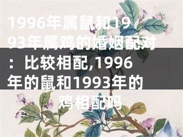 1996年属鼠和1993年属鸡的婚姻配对：比较相配,1996年的鼠和1993年的鸡相配吗