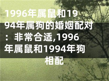 1996年属鼠和1994年属狗的婚姻配对：非常合适,1996年属鼠和1994年狗相配
