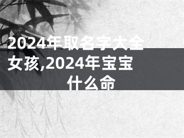 2024年取名字大全女孩,2024年宝宝什么命