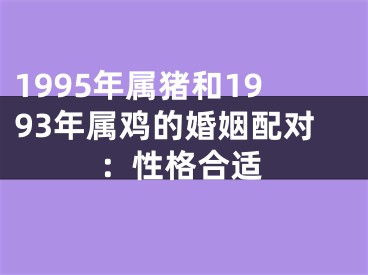 1995年属猪和1993年属鸡的婚姻配对：性格合适