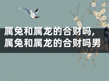 属兔和属龙的合财吗,属兔和属龙的合财吗男