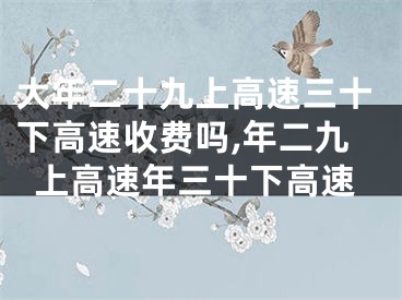 大年二十九上高速三十下高速收费吗,年二九上高速年三十下高速
