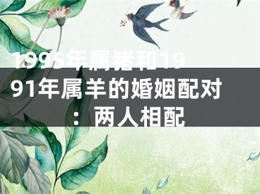 1995年属猪和1991年属羊的婚姻配对：两人相配