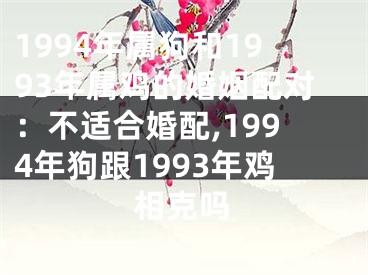 1994年属狗和1993年属鸡的婚姻配对：不适合婚配,1994年狗跟1993年鸡相克吗