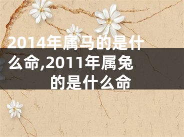 2014年属马的是什么命,2011年属兔的是什么命