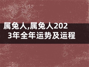 属兔人,属兔人2023年全年运势及运程