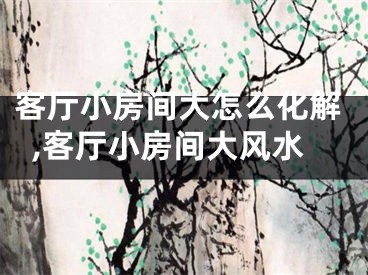 客厅小房间大怎么化解,客厅小房间大风水