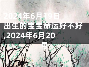 2024年6月19日出生的宝宝命运好不好,2024年6月20号