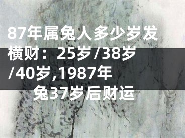 87年属兔人多少岁发横财：25岁/38岁/40岁,1987年兔37岁后财运