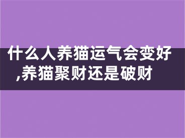 什么人养猫运气会变好,养猫聚财还是破财