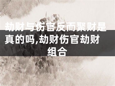 劫财与伤官反而聚财是真的吗,劫财伤官劫财组合