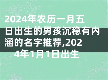 2024年农历一月五日出生的男孩沉稳有内涵的名字推荐,2024年1月1日出生