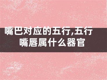 嘴巴对应的五行,五行嘴唇属什么器官