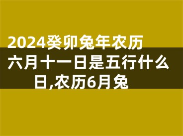 2024癸卯兔年农历六月十一日是五行什么日,农历6月兔