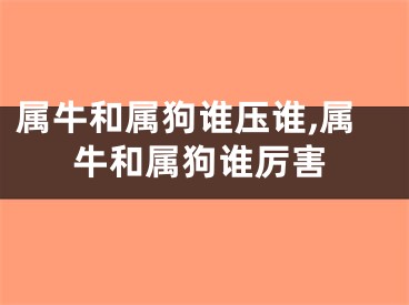 属牛和属狗谁压谁,属牛和属狗谁厉害