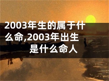 2003年生的属于什么命,2003年出生是什么命人