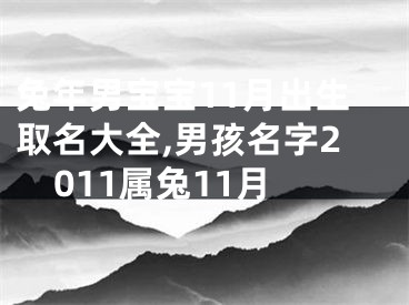 兔年男宝宝11月出生取名大全,男孩名字2011属兔11月
