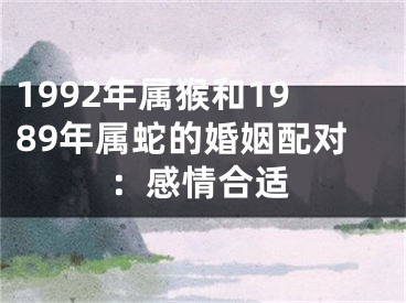 1992年属猴和1989年属蛇的婚姻配对：感情合适
