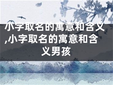 小字取名的寓意和含义,小字取名的寓意和含义男孩
