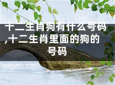 十二生肖狗有什么号码,十二生肖里面的狗的号码