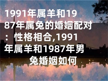 1991年属羊和1987年属兔的婚姻配对：性格相合,1991年属羊和1987年男兔婚姻如何
