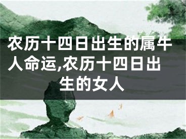农历十四日出生的属牛人命运,农历十四日出生的女人