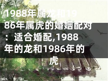 1988年属龙和1986年属虎的婚姻配对：适合婚配,1988年的龙和1986年的虎