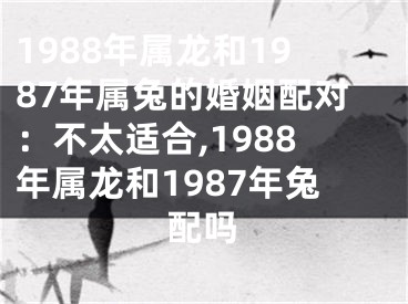 1988年属龙和1987年属兔的婚姻配对：不太适合,1988年属龙和1987年兔配吗