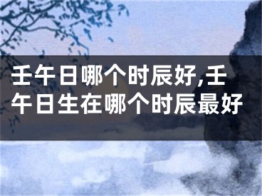 壬午日哪个时辰好,壬午日生在哪个时辰最好