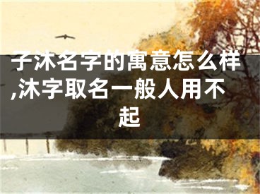 子沐名字的寓意怎么样,沐字取名一般人用不起
