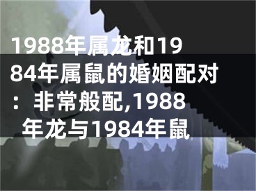 1988年属龙和1984年属鼠的婚姻配对：非常般配,1988年龙与1984年鼠