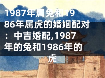1987年属兔和1986年属虎的婚姻配对：中吉婚配,1987年的兔和1986年的虎