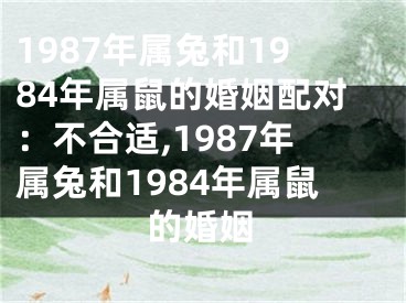 1987年属兔和1984年属鼠的婚姻配对：不合适,1987年属兔和1984年属鼠的婚姻