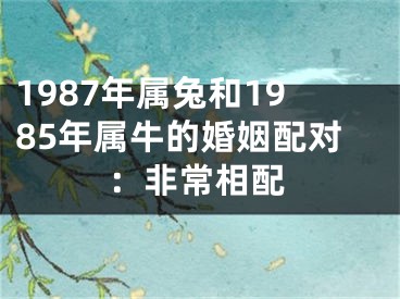 1987年属兔和1985年属牛的婚姻配对：非常相配