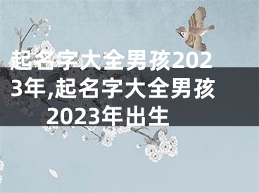 起名字大全男孩2023年,起名字大全男孩2023年出生