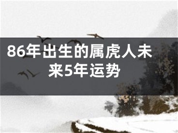86年出生的属虎人未来5年运势