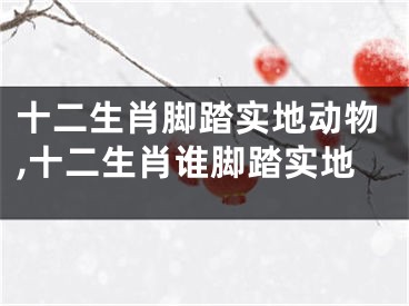 十二生肖脚踏实地动物,十二生肖谁脚踏实地