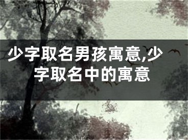 少字取名男孩寓意,少字取名中的寓意