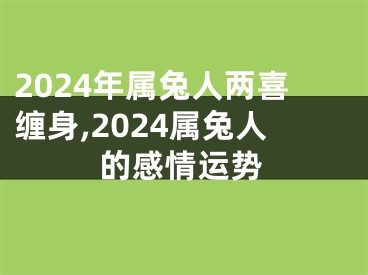 2024年属兔人两喜缠身,2024属兔人的感情运势