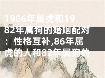 1986年属虎和1982年属狗的婚姻配对：性格互补,86年属虎的人和82年属狗的