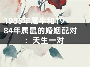 1985年属牛和1984年属鼠的婚姻配对：天生一对